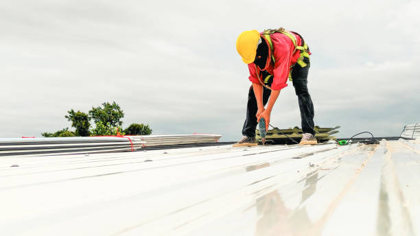 Best 4 Ply Roofing  in Apopka, FL